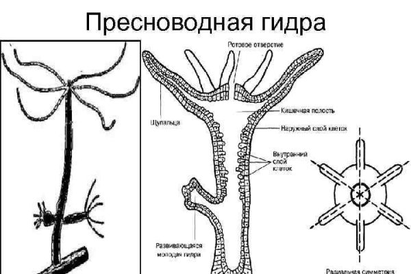 Mega мориарти официальный сайт megadarknet de